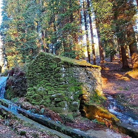 Matos Casas De Campo Cabeceiras de Basto Zewnętrze zdjęcie