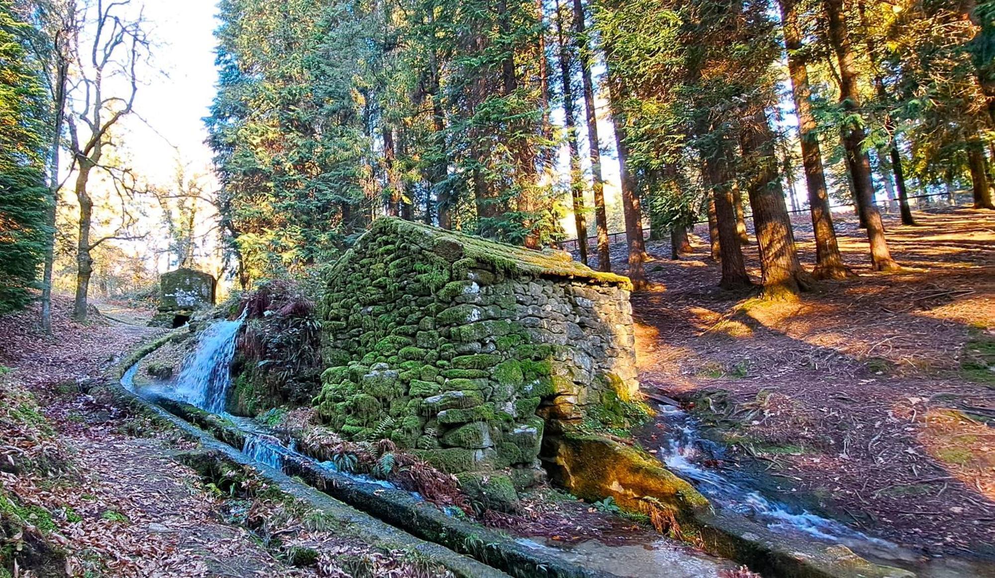 Matos Casas De Campo Cabeceiras de Basto Zewnętrze zdjęcie