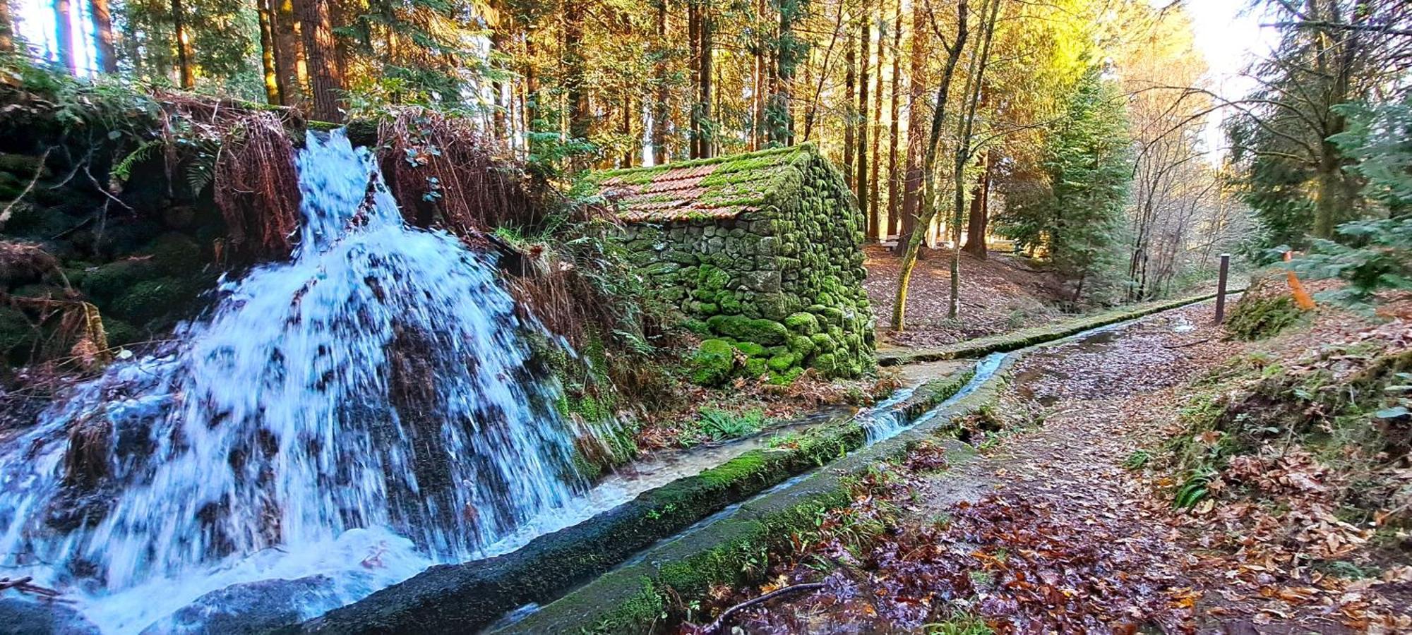 Matos Casas De Campo Cabeceiras de Basto Zewnętrze zdjęcie
